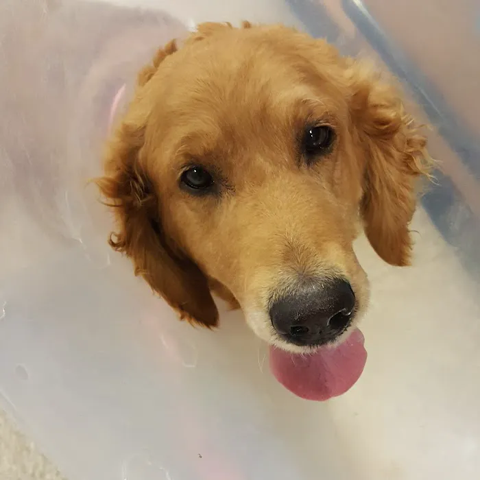 Banfield Pet Hospital 5