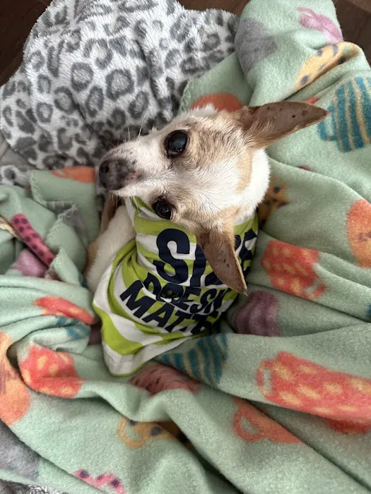 Banfield Pet Hospital 9