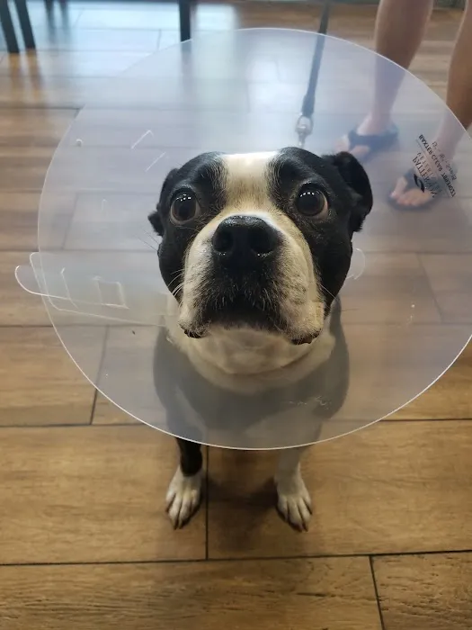 Eastvale Veterinary Hospital 12