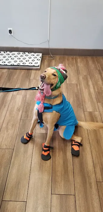 Eastvale Veterinary Hospital 12
