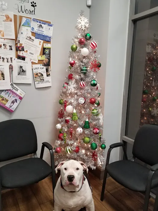 Eastvale Veterinary Hospital 12