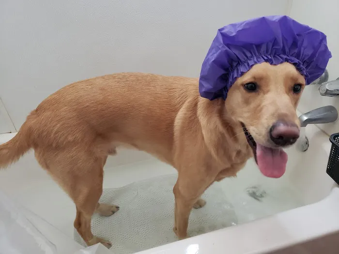 Eastvale Veterinary Hospital 12