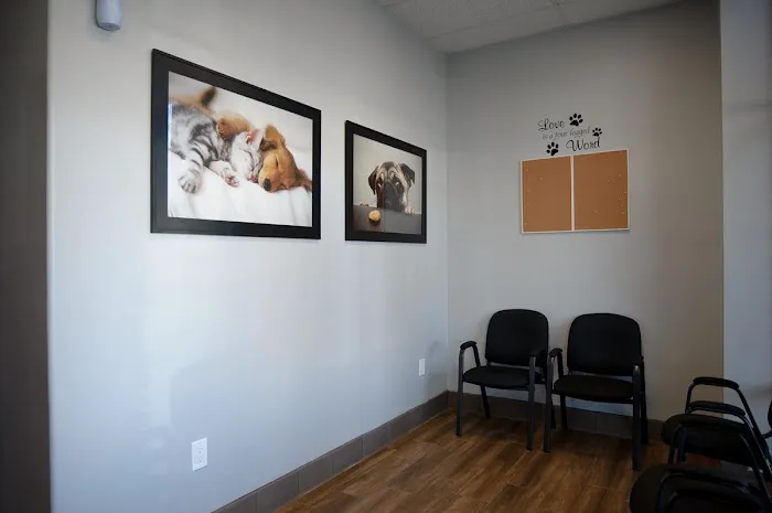 Eastvale Veterinary Hospital 12