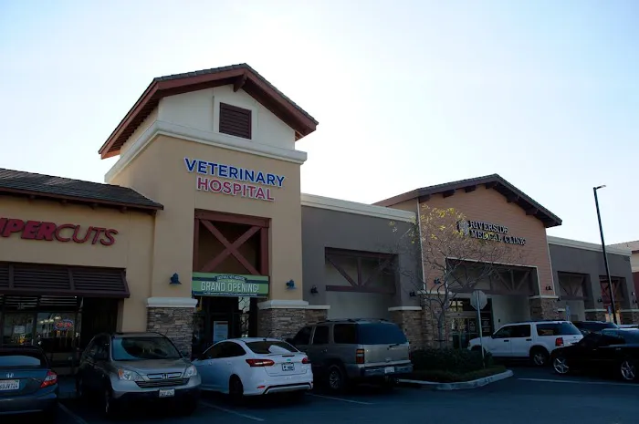 Eastvale Veterinary Hospital 12