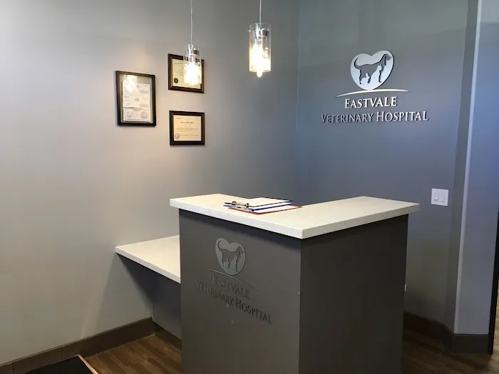 Eastvale Veterinary Hospital 12