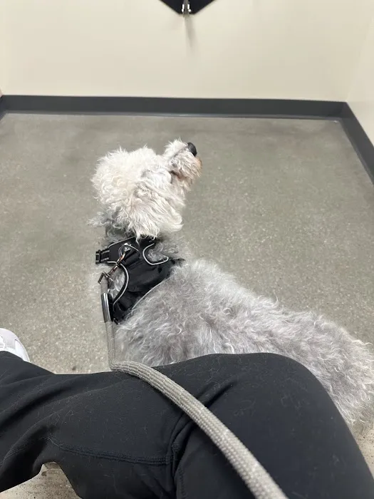 Vetco Total Care Animal Hospital 12