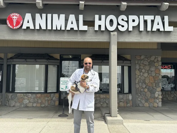 Adobe Animal Hospital 12