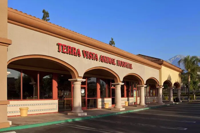 Terra Vista Animal Hospital 12