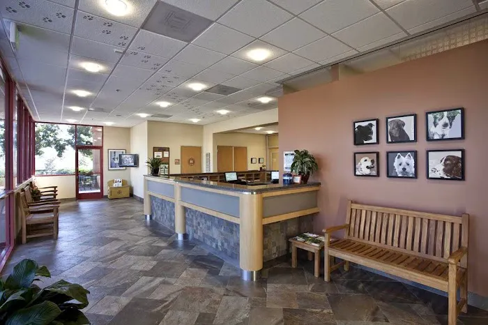 Terra Vista Animal Hospital 12