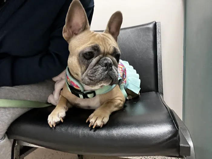 Victoria Animal Hospital 12