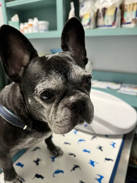 Victoria Animal Hospital 12