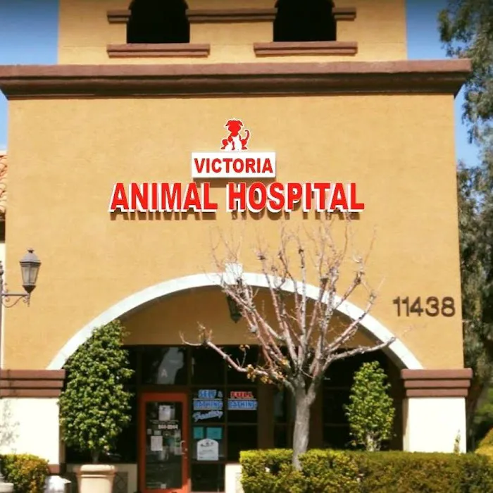 Victoria Animal Hospital 12