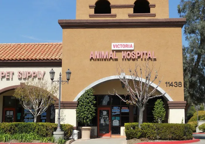 Victoria Animal Hospital 12