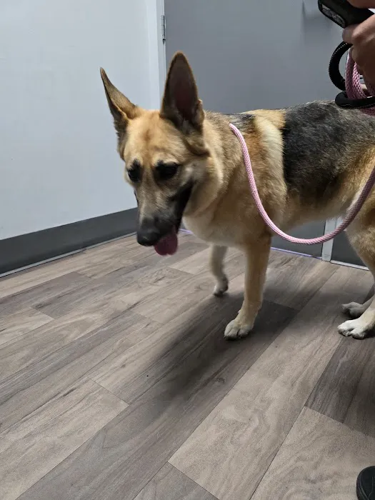 Victoria Animal Hospital 12