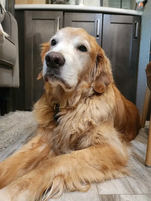 Northwest Veterinary Clinic of Mount Vernon 1