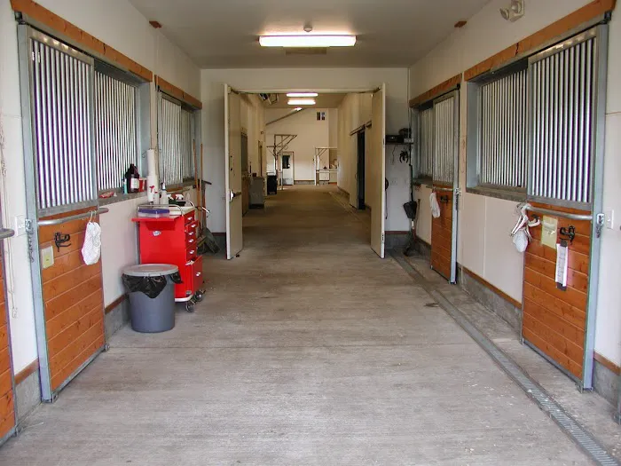 Northwest Veterinary Clinic of Mount Vernon 4