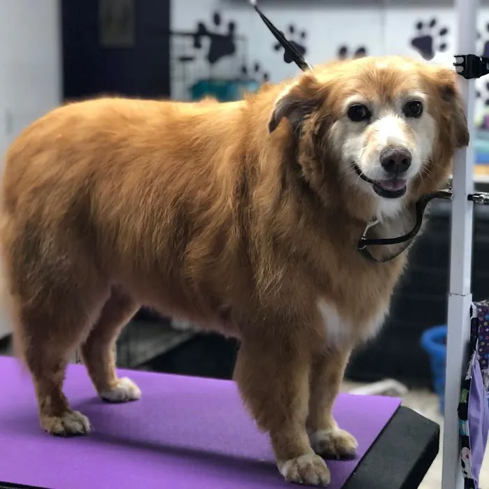 Chuckanut Valley Veterinary Clinic 3