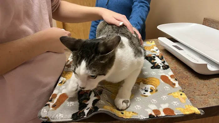 Chuckanut Valley Veterinary Clinic 2
