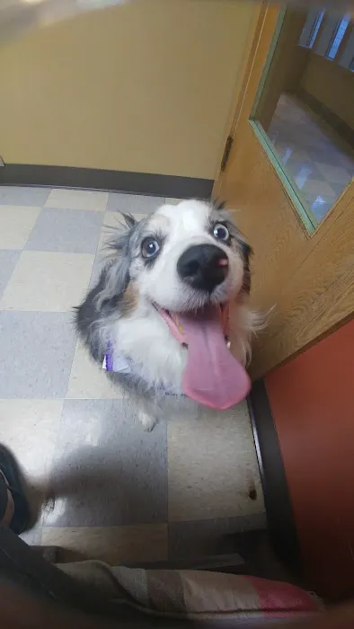 Kitsap Veterinary Hospital 12