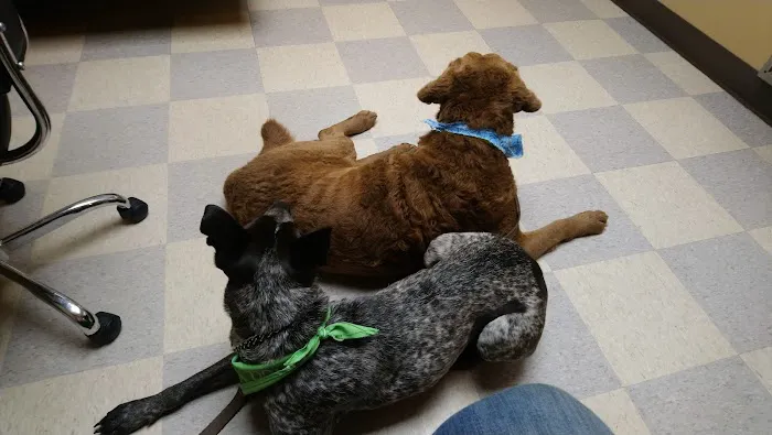 Kitsap Veterinary Hospital 12