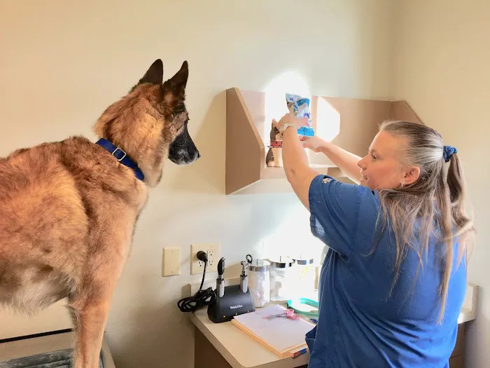 Port Orchard Animal Clinic, Dr. Liz Oien DVM 12