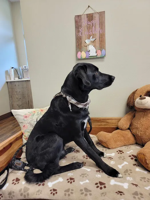 Port Orchard Animal Clinic, Dr. Liz Oien DVM 12