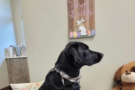 Port Orchard Animal Clinic, Dr. Liz Oien DVM