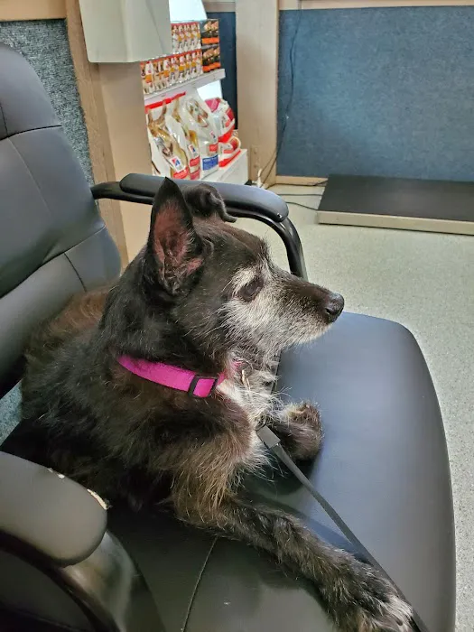 Woodside Animal Hospital 12
