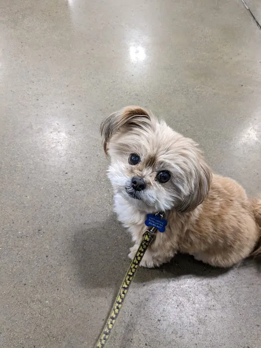 Banfield Pet Hospital 12