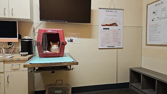 BoosterPet Veterinary Care & Urgent Care in Puyallup 12