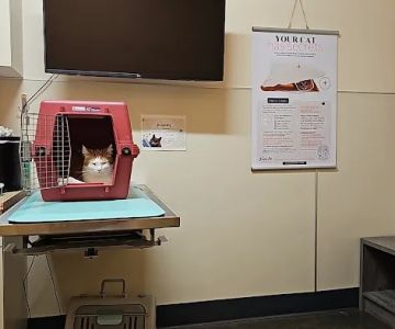 BoosterPet Veterinary Care & Urgent Care in Puyallup
