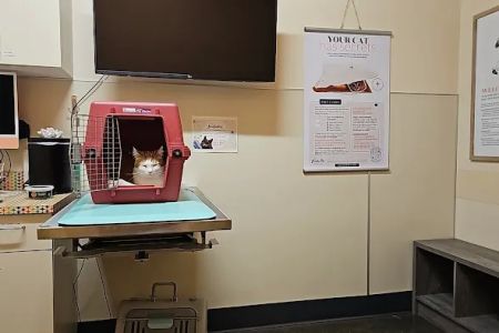 BoosterPet Veterinary Care & Urgent Care in Puyallup