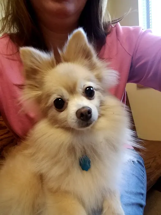 Canyon Road Veterinary Hospital 12