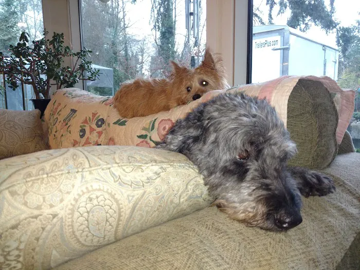 Canyon Road Veterinary Hospital 12