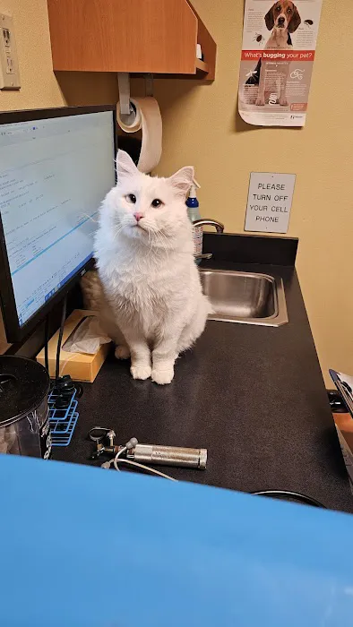 Canyon Road Veterinary Hospital 12