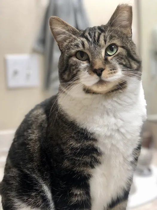 Canyon Road Veterinary Hospital 12
