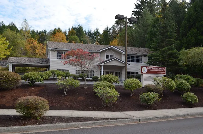 Harbor Animal Hospital 12