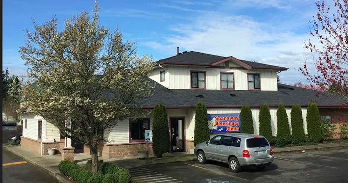 Spanaway Veterinary Clinic 12