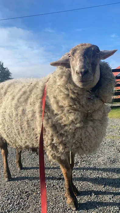 Tahoma Veterinary Hospital 12