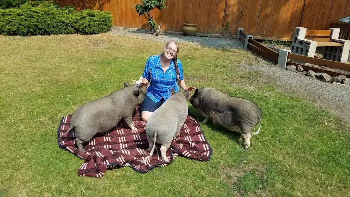 Tahoma Veterinary Hospital 12