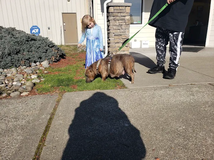 Tahoma Veterinary Hospital 12