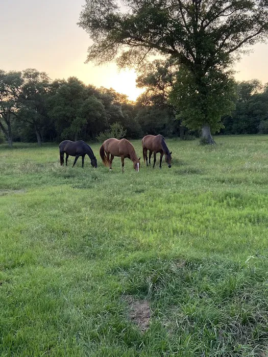 F9 Equine Clinic, PLLC 12