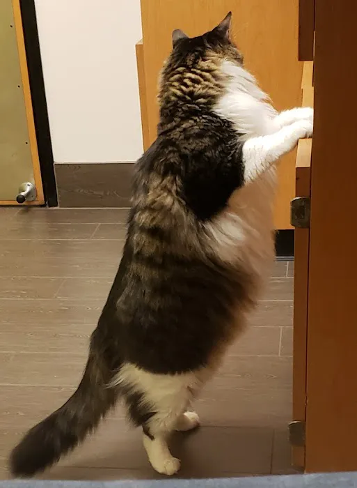 Banfield Pet Hospital 12