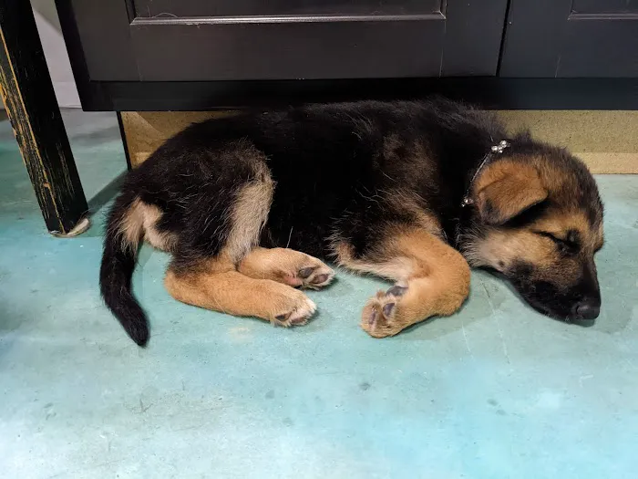Banfield Pet Hospital 12