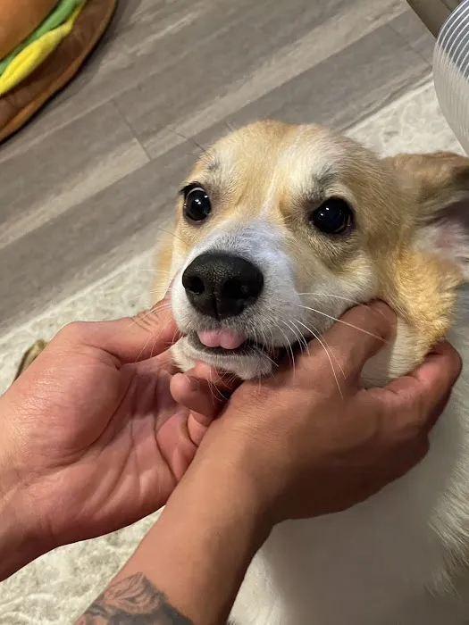 Banfield Pet Hospital 12