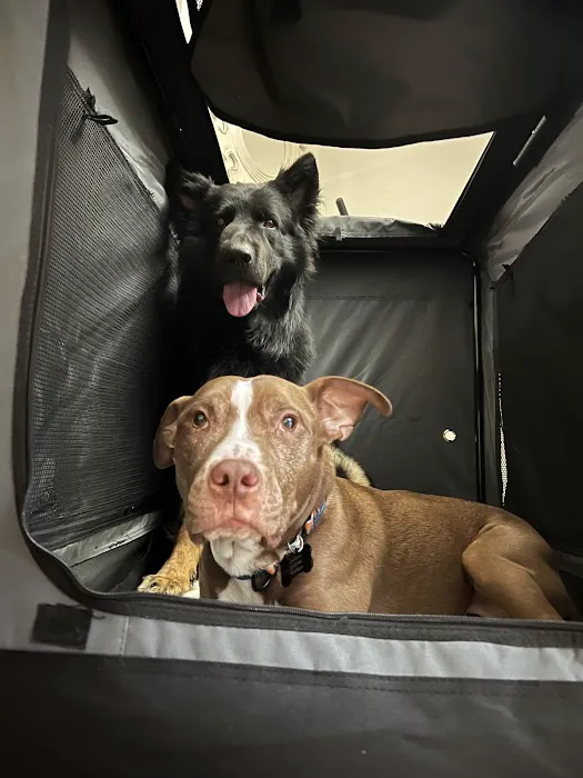 Banfield Pet Hospital 12