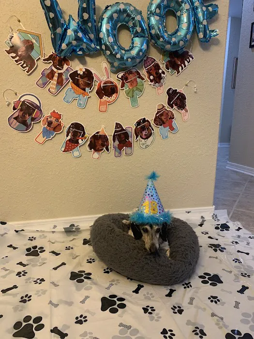 Banfield Pet Hospital 12
