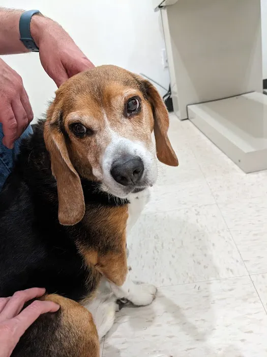 Boonville Animal Hospital 12