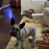 Boonville Animal Hospital ico