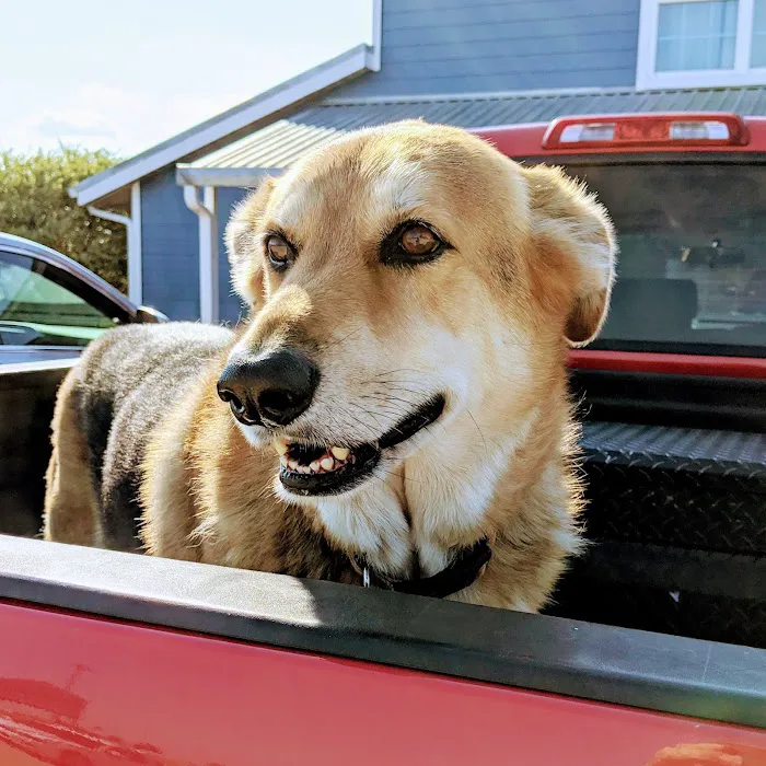Boonville Animal Hospital 12